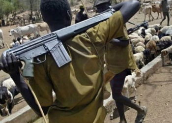Herdsmen kill 13 Christians in Nigeria